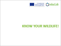 Presentation Module 4.2